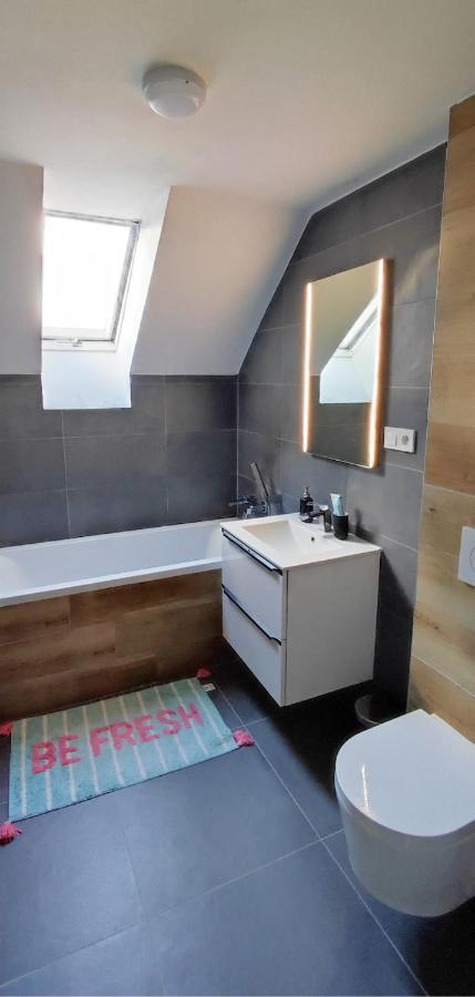 Apartman Pod Jestedem Daire Liberec Dış mekan fotoğraf